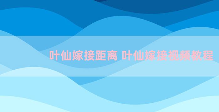 叶仙嫁接距离 叶仙嫁接视频教程